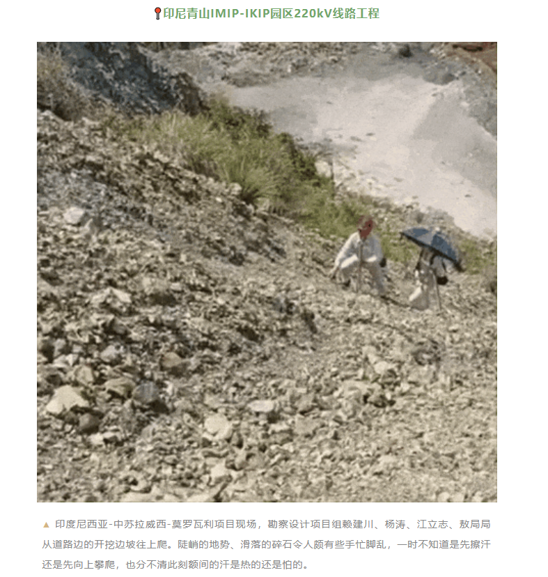 ×ðÁú|Öйú¹Ù·½ÍøÕ¾